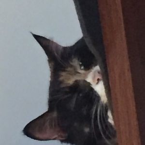 Meet your Posher, Rebecca